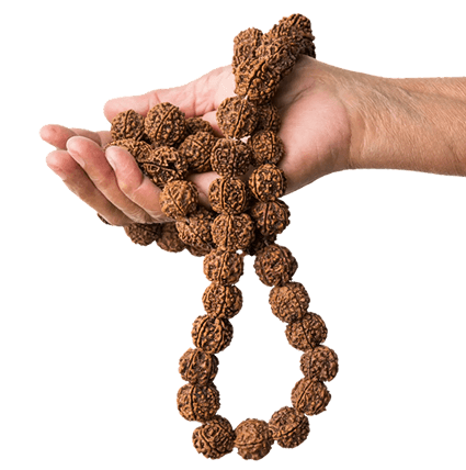 Customized Rudraksha Collection